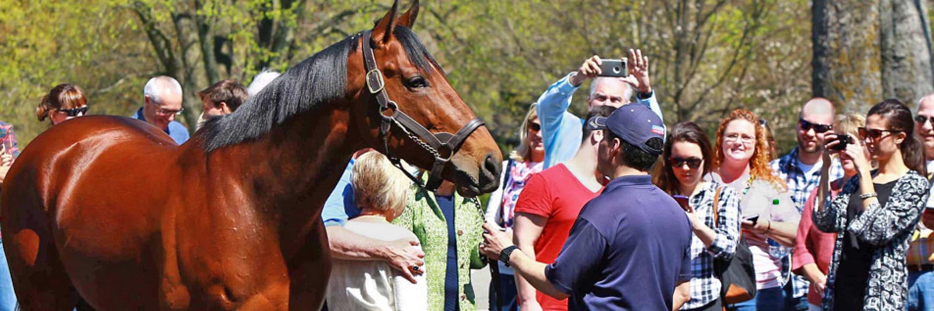 Lexington Tour Companies