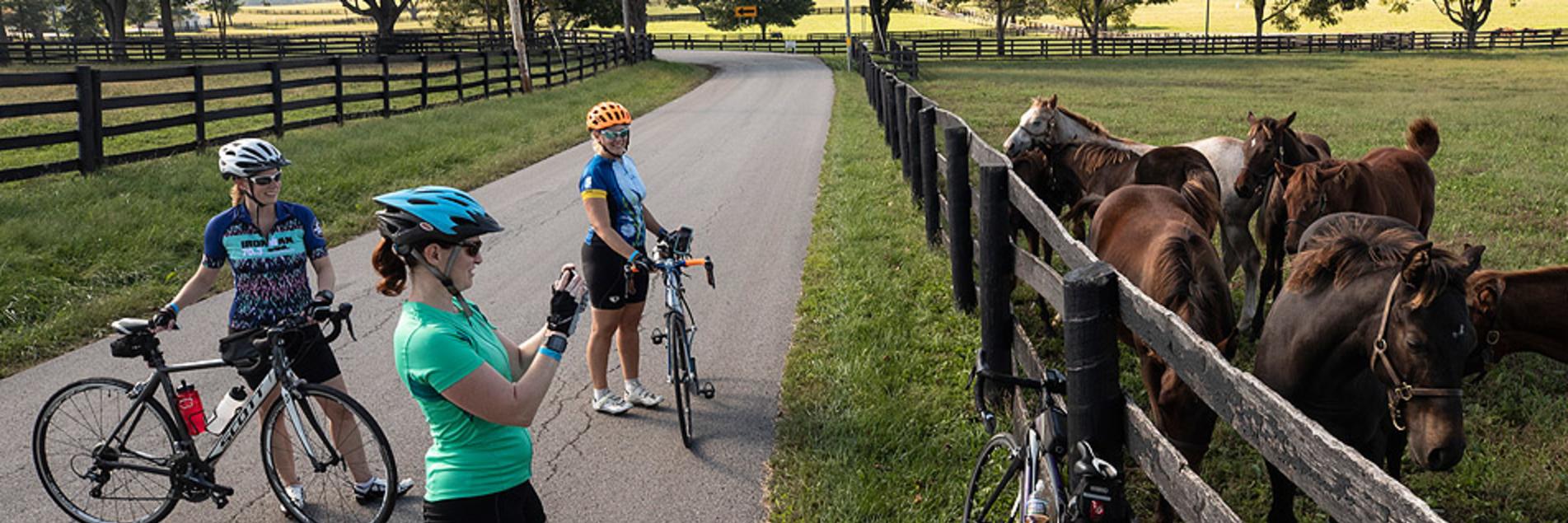 Cycling Lexington Kentucky