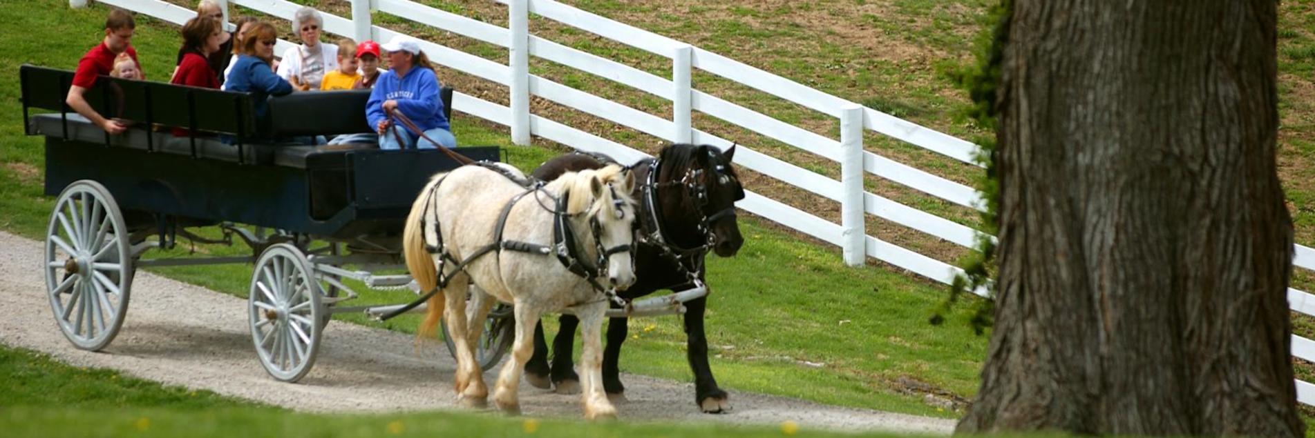Things to do Attractions in Lexington's Bluegrass Region.