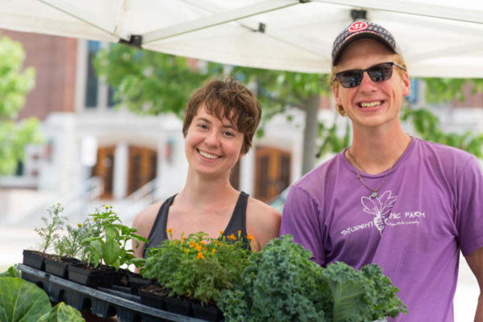 DeWitt Farmers Market