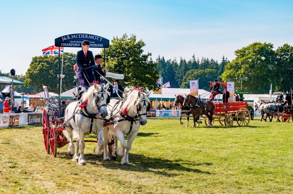 New Forest Show - Heavy Horses