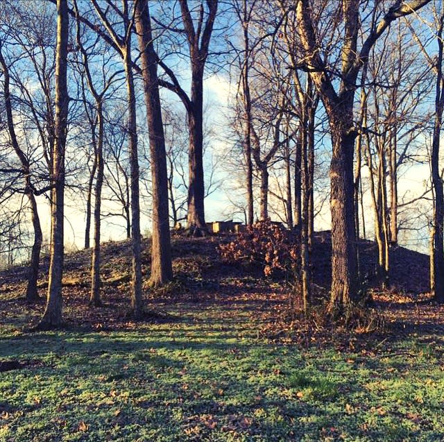 oakville indian mound