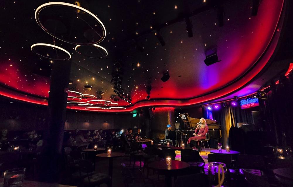 musician performs at blue llama jazz club