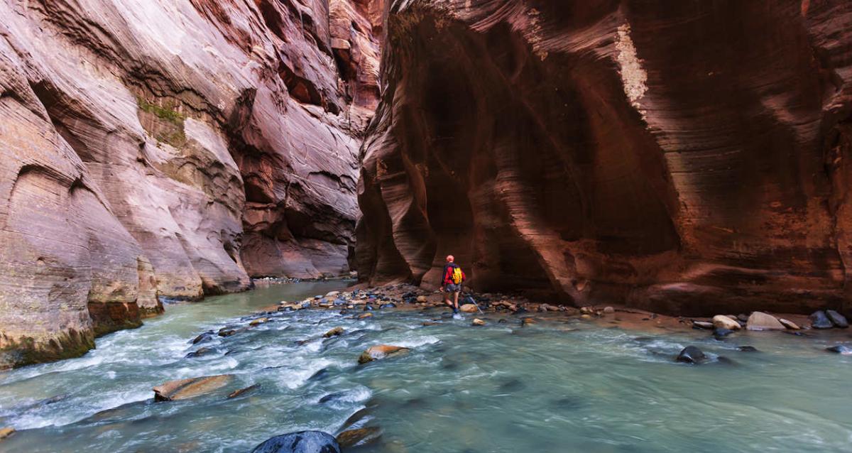 The Narrows of Zion Canyon Hike