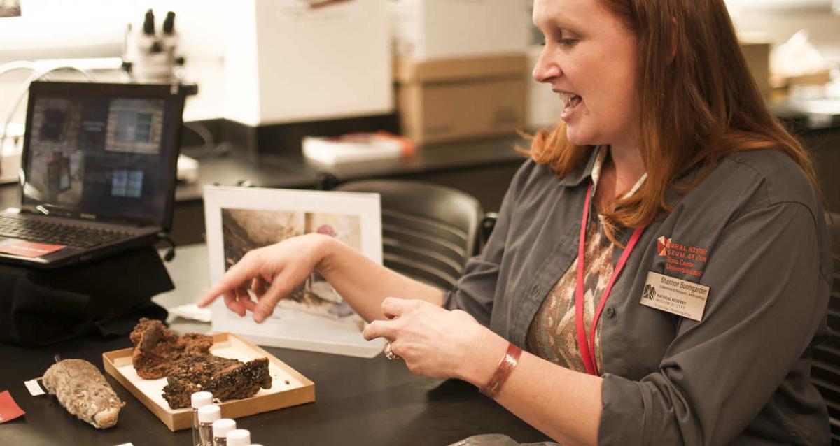 Range Creek Artifacts at the Natural History Library in Utah