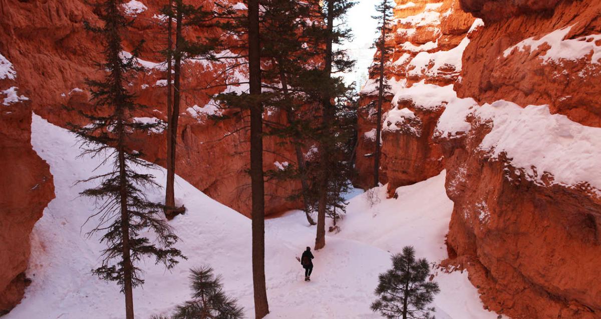 Hiker in the snow in Bryce Canyon National Park