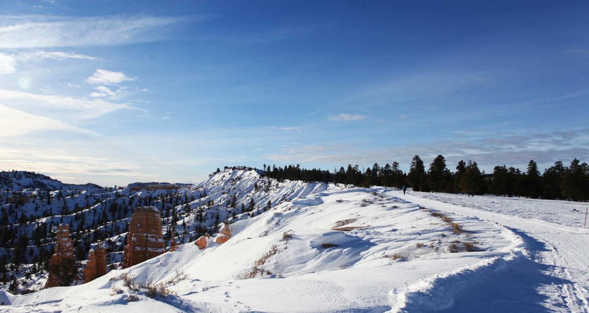 Snowy Bryce Canyon in the winter