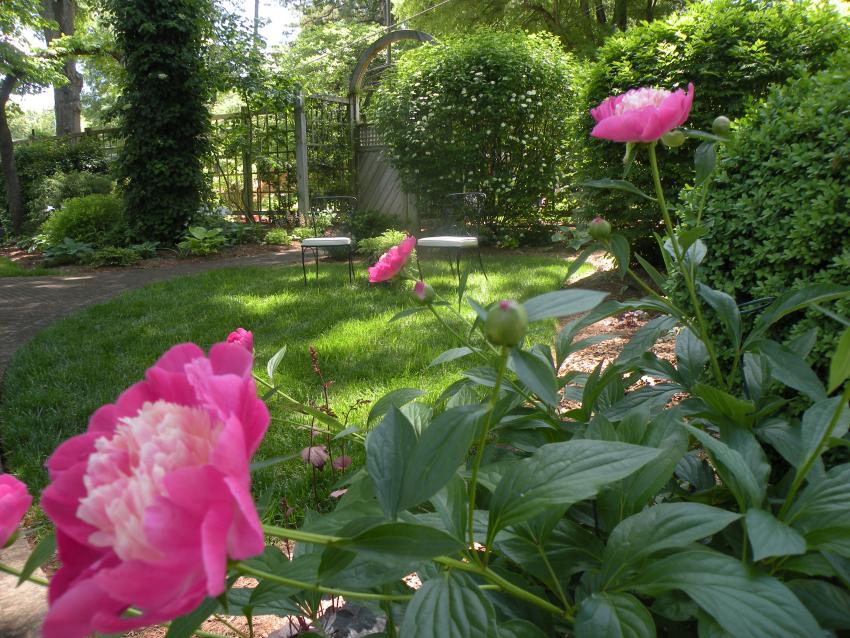 Hillsborough Spring Garden Tour.jpg