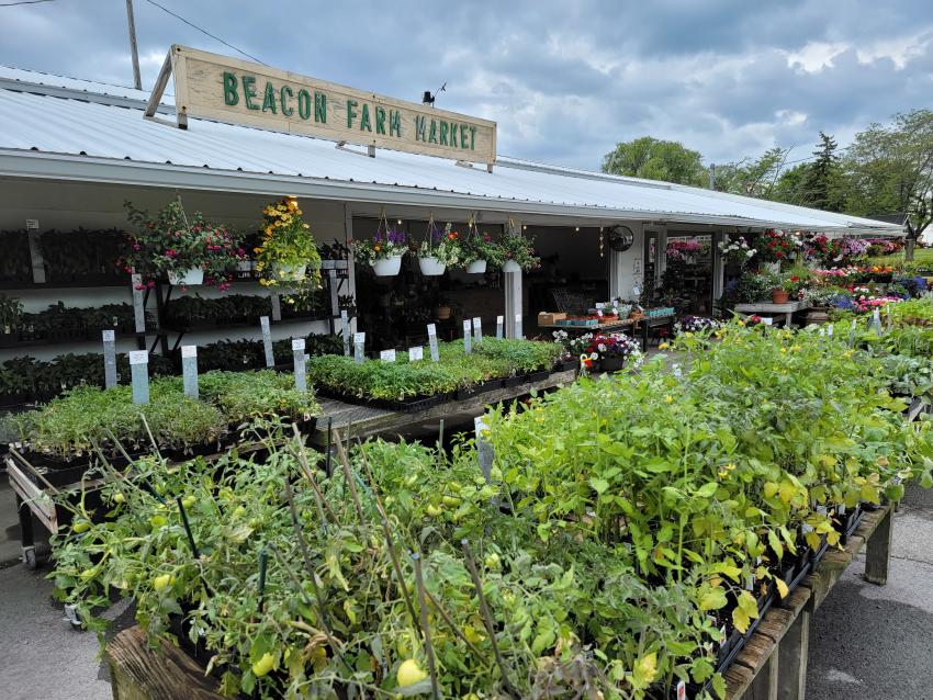 Beacon Farmers Market - Front with herbs