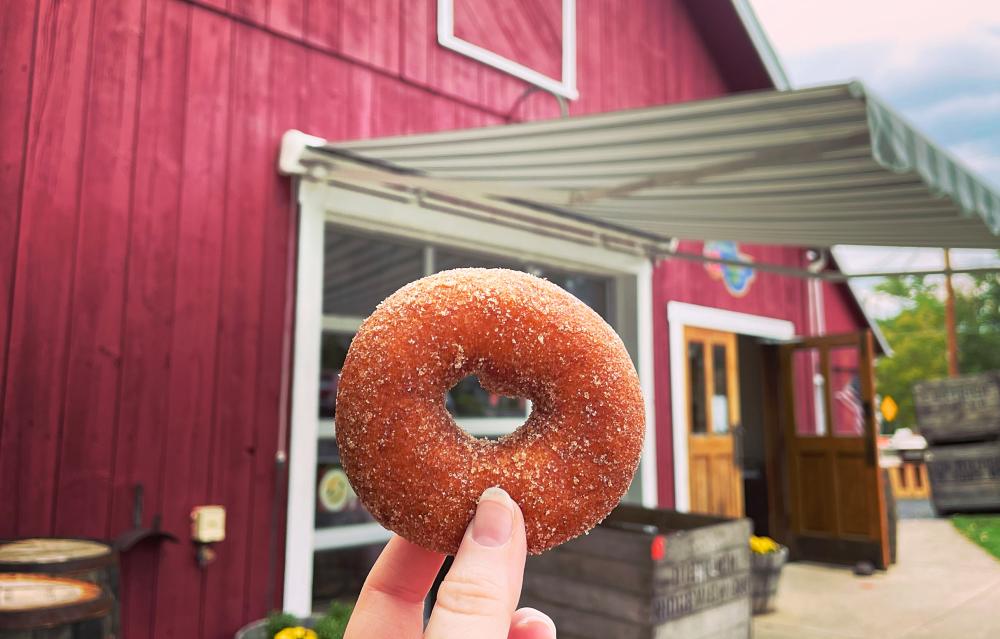 person holds a cinnamon donut in front of a red barn blurred in the background.