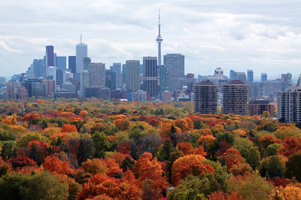fall color tours from toronto