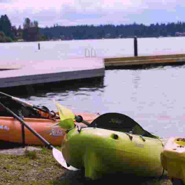 Kayaks pulled up on shore