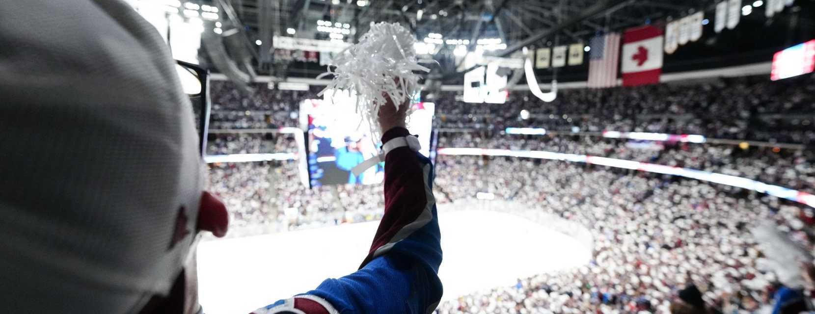 A fan cheers for the Colorado avalanche during a hockey game at Ball Arena
