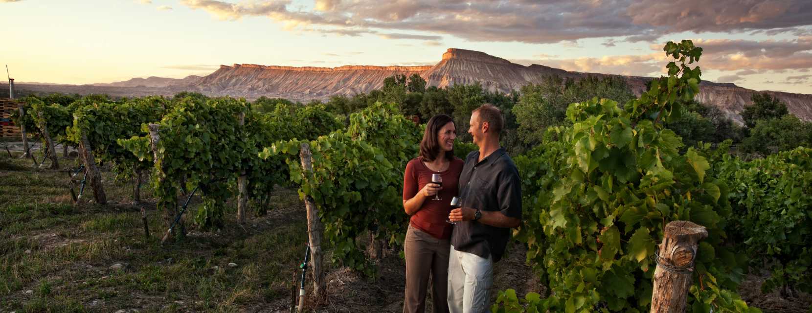 A couple enjoys wine in a vineyard in Palisade, Colorado.