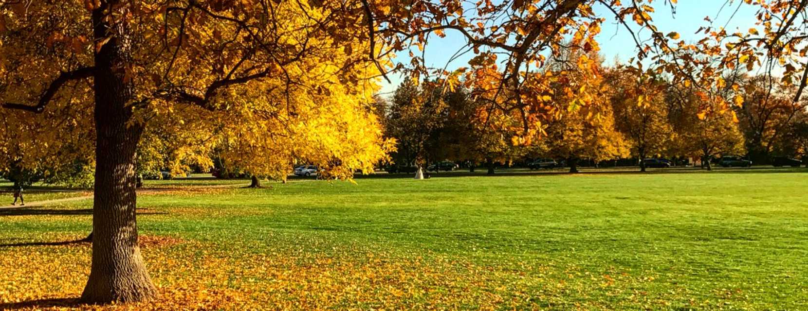 Cheesman Park Fall