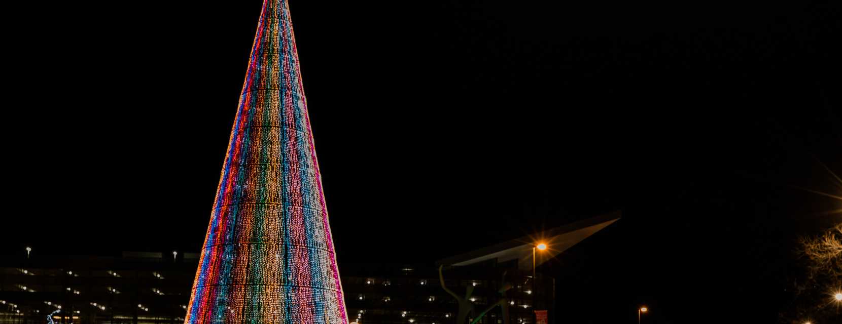 Mile High Tree