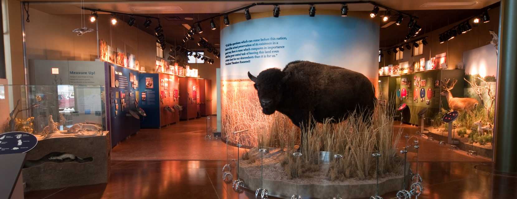 Interior of the Visitor Center at the Rocky Mountain Arsenal National Wildlife Refuge.
