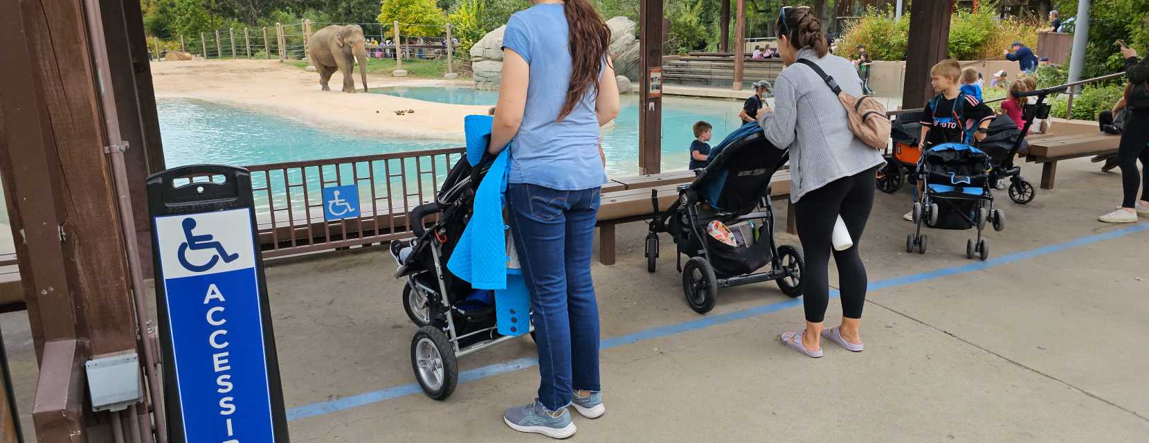 A wheelchair accessible area overlooking elephants at Denver Zoo Conservation Alliance