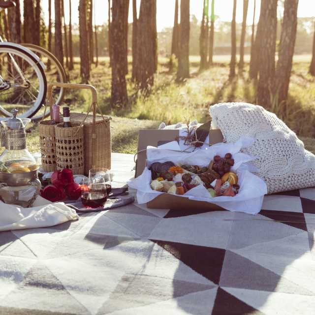 Cycling-Food-Art-picnic-with-bikes
