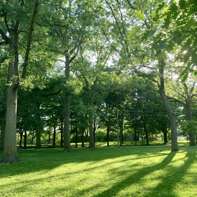 Monarch Park in the Danforth