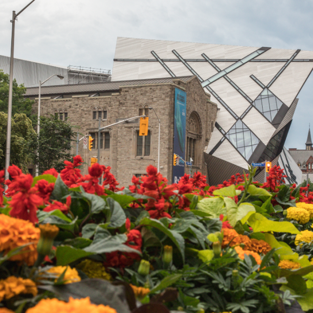 Flowers blooming in front of the Royal Ontario Museum in Toronto