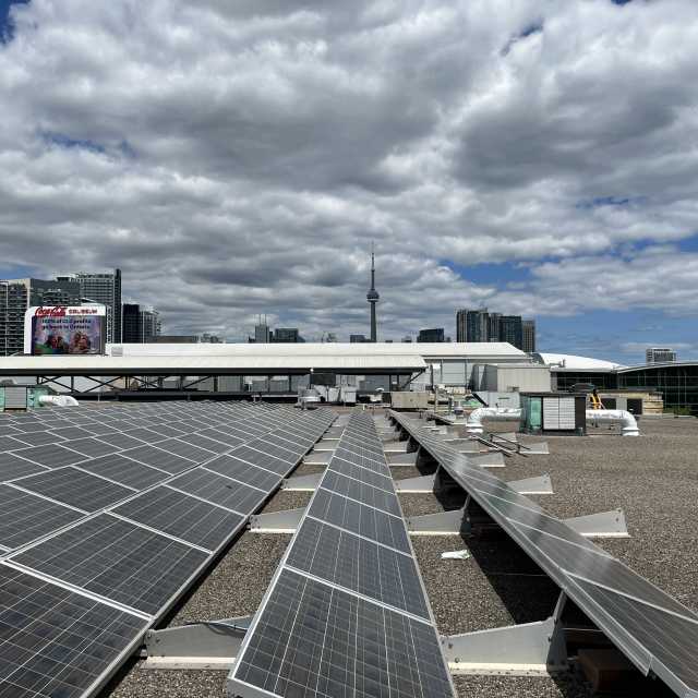 Exhibition Place Solar Panels