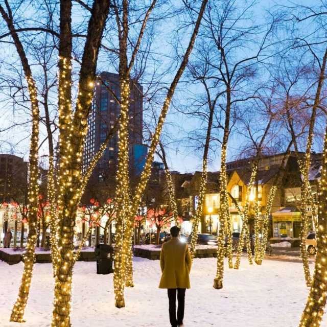 holiday-shopping-yorkville-lights-1536x1024