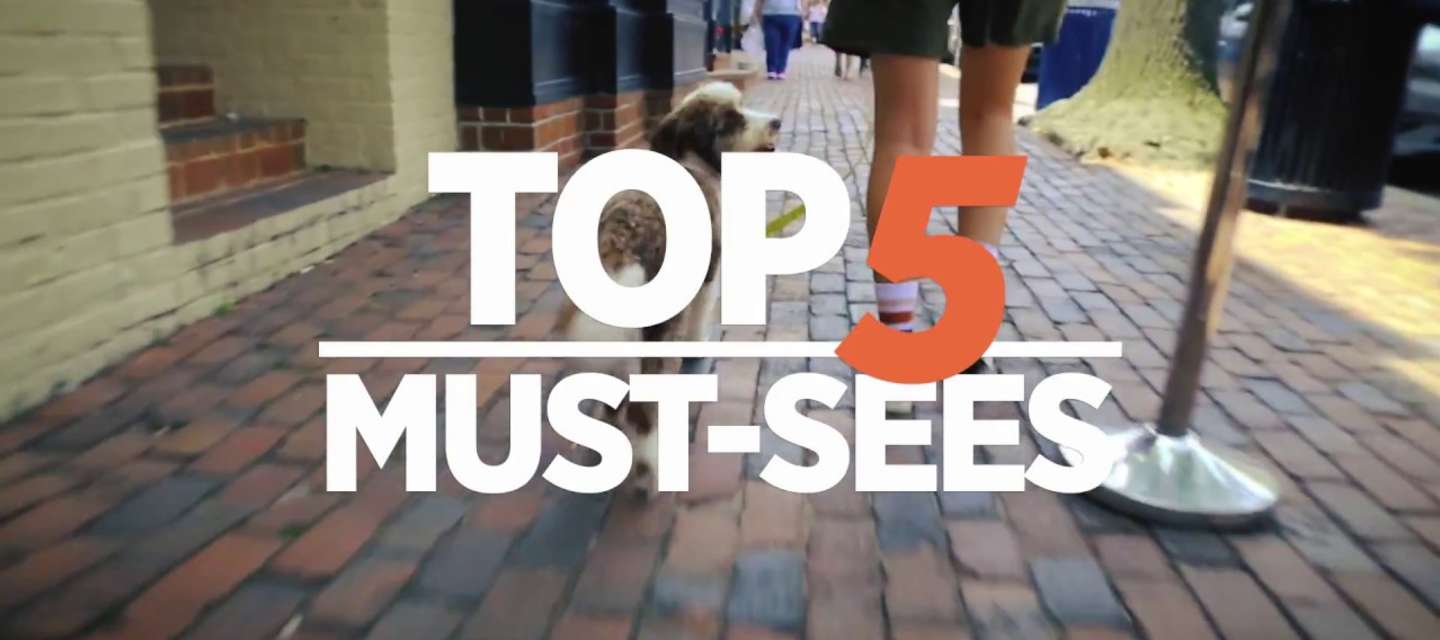 Top 5 Must-Sees