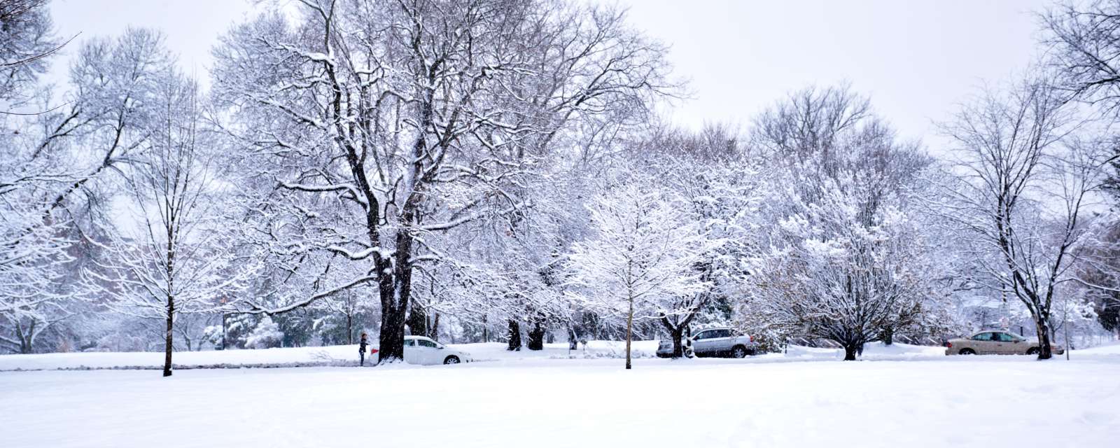 Washington Park in winter with snow