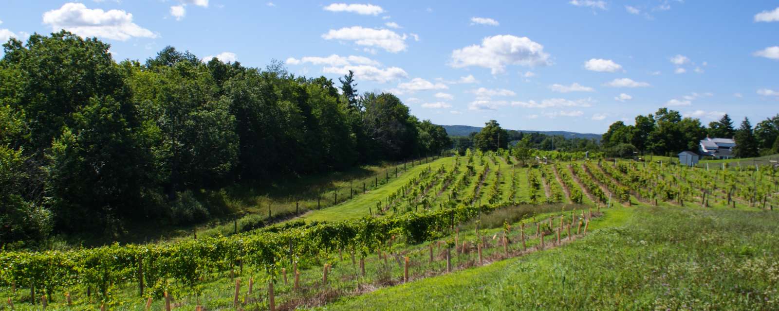 Hudson-Chatham Winery