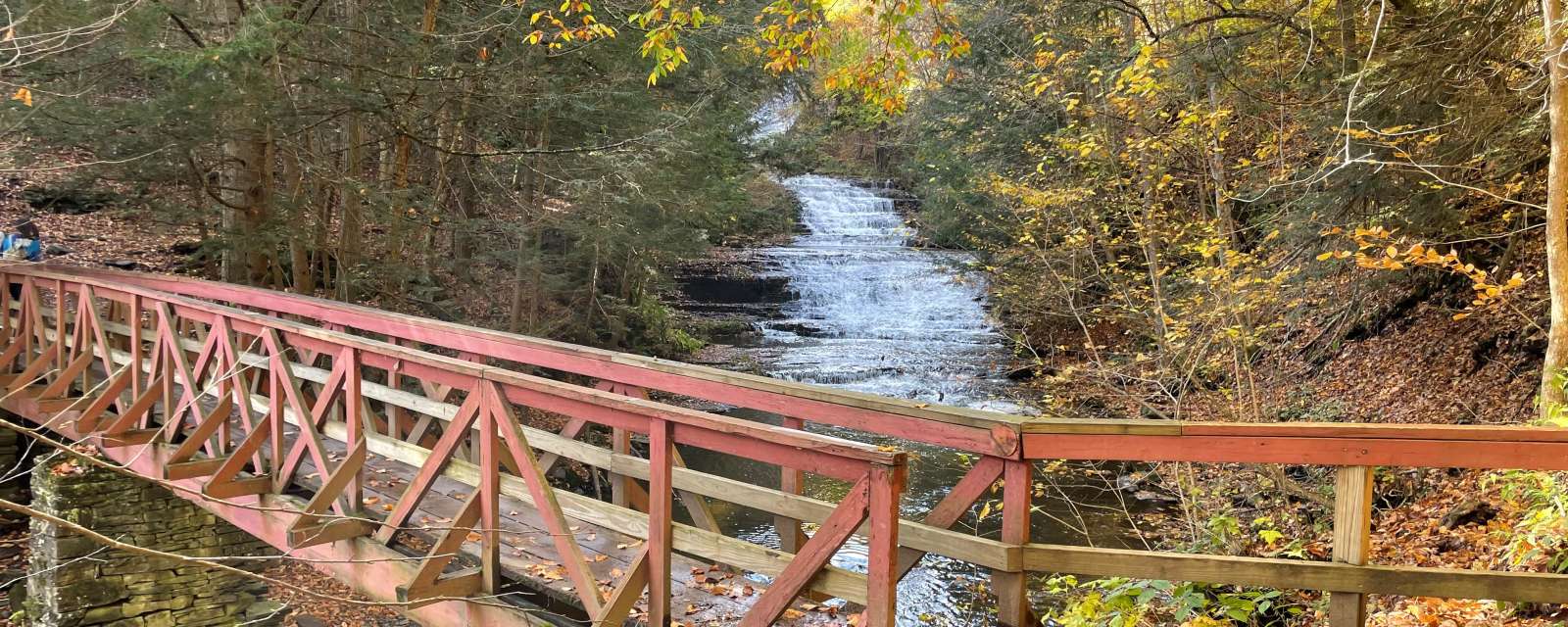 Huyck Preserve in Fall