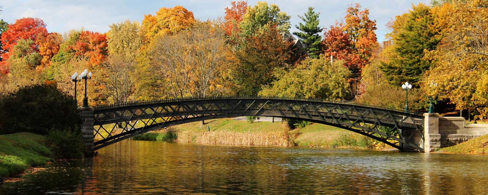 Washington Park during the Fall