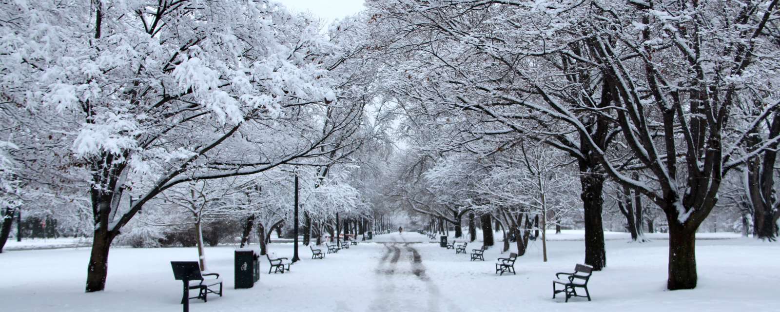 Washington Park Promenade in winter snows.