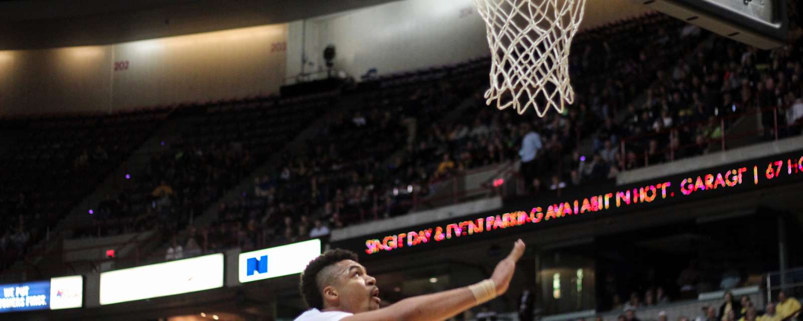 Sports in Albany