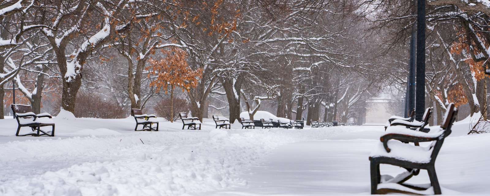 Winter Washington Park Bench