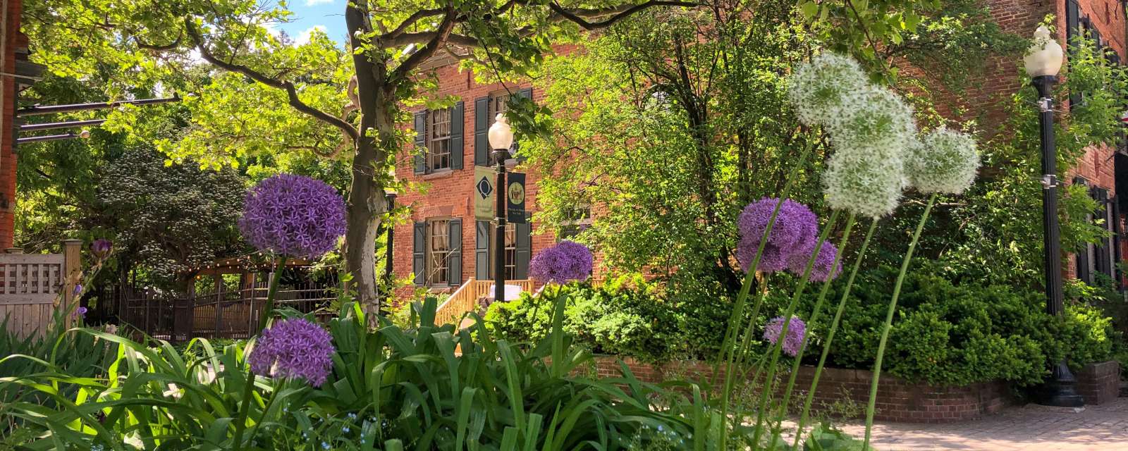 Quackenbush Square