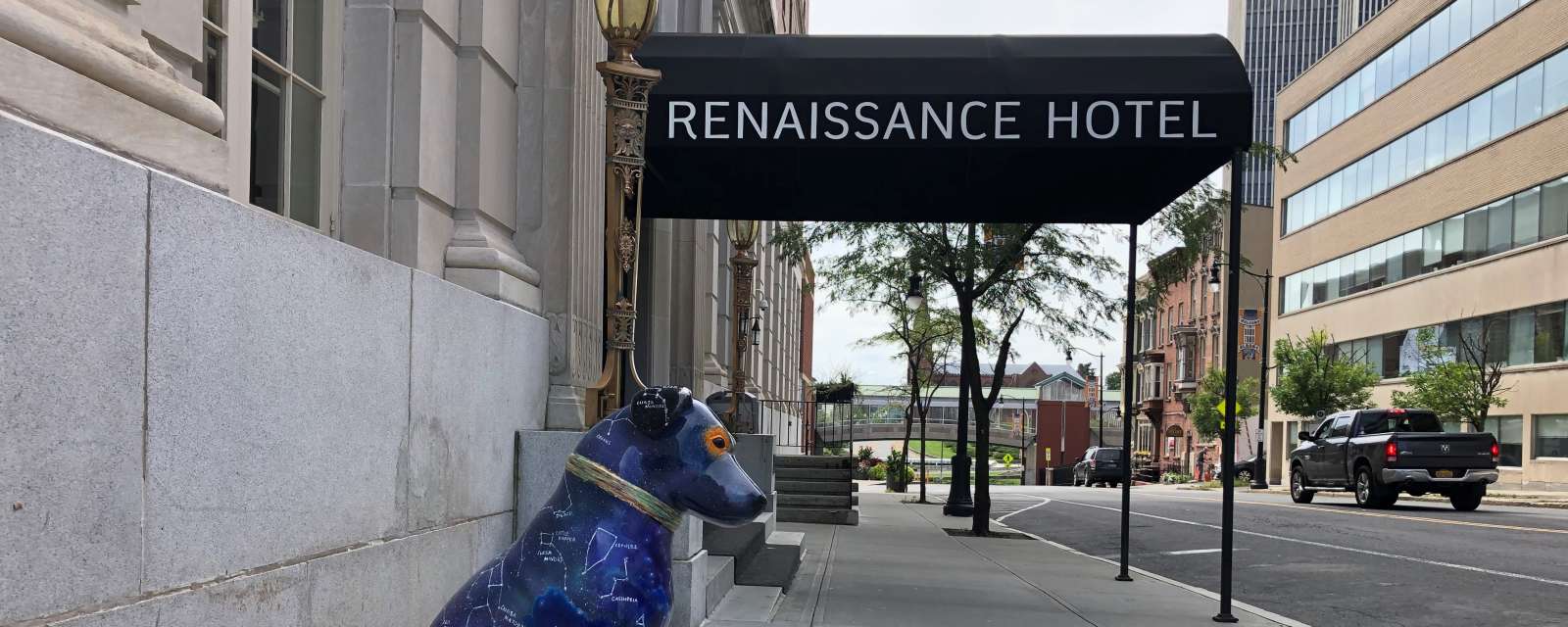Renaissance Hotel Albany Nipper