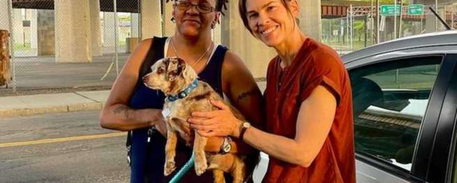 Hilary Swank Finds Lost Dog while Filming in Albany