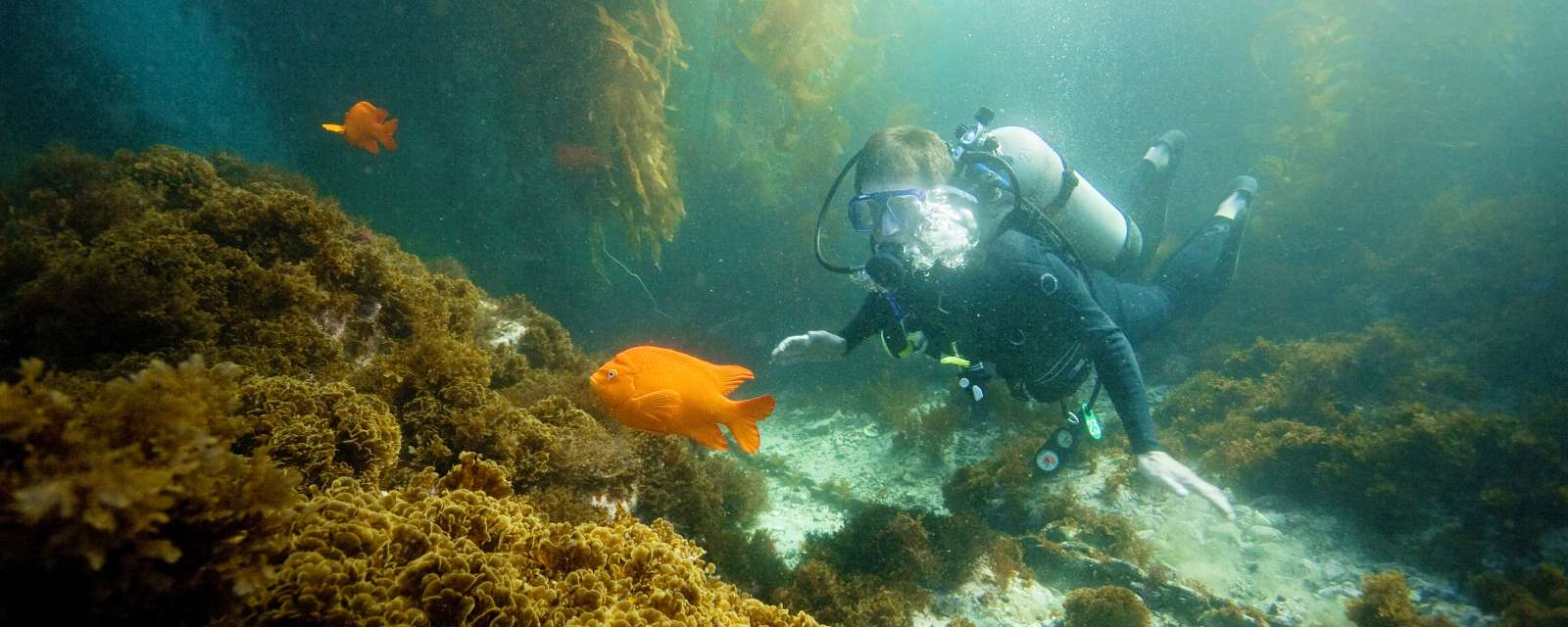 Two Harbors Dive Recreation Center Visit Catalina Island