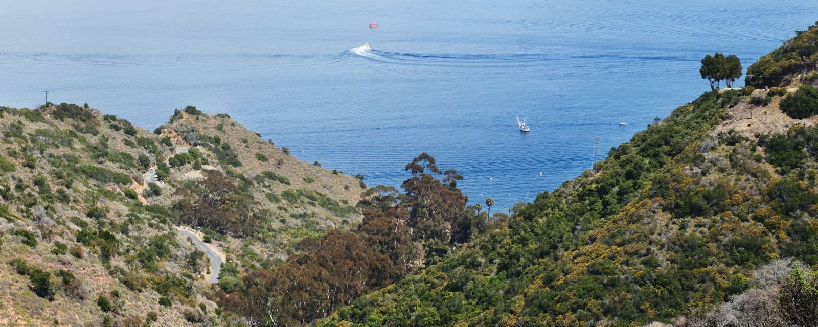 Two Harbors Webcam Live Views Of Catalina Island Visit