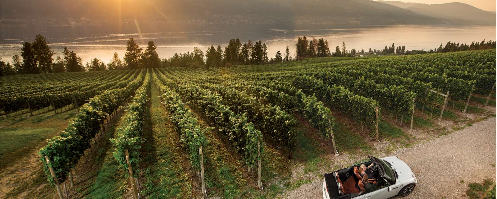 Lake Country S Scenic Sip Kelowna S Wine Trails
