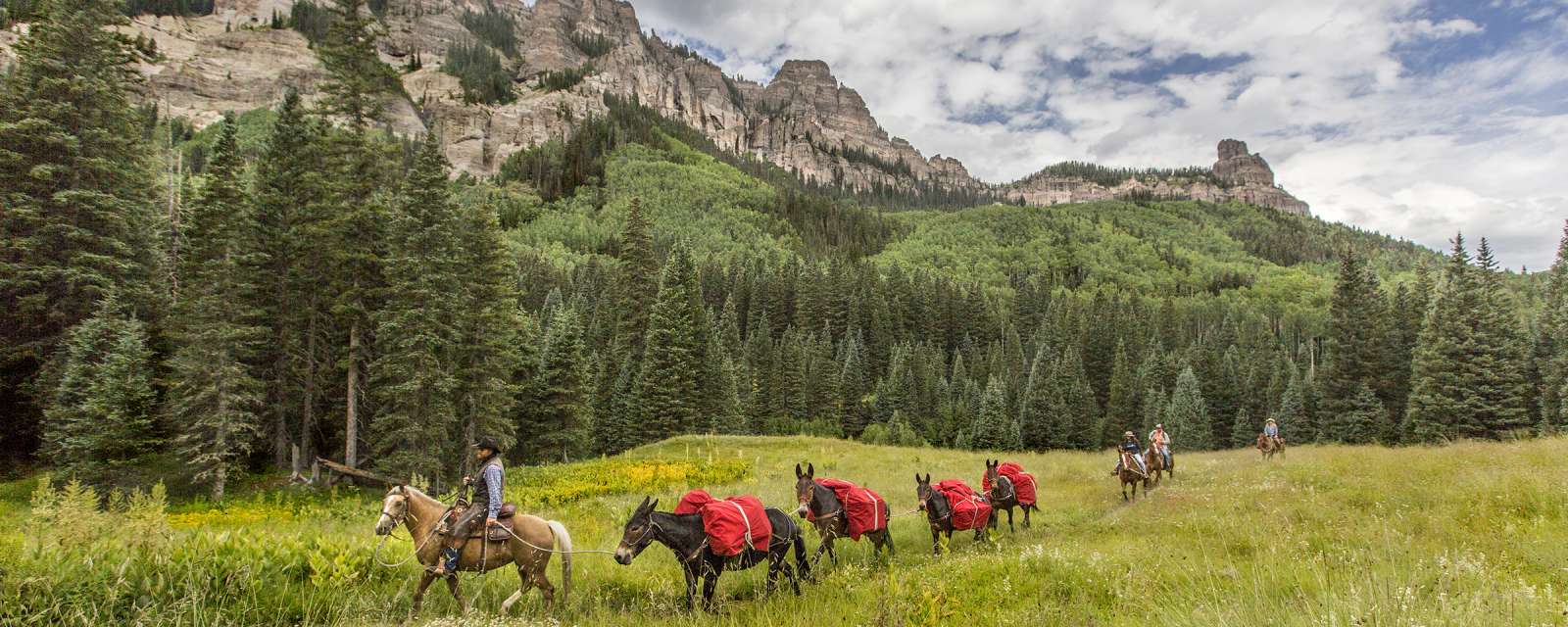 Horseback Riding