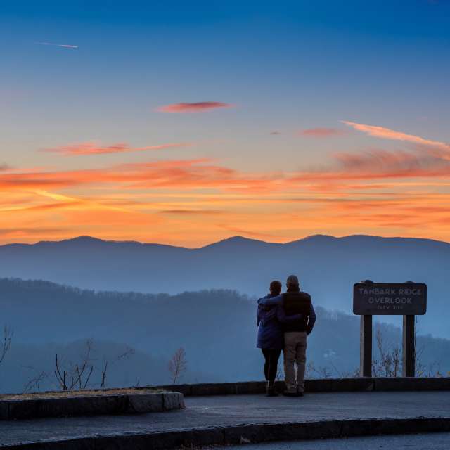 Things To Do In Asheville This Weekend July 31 August 2 2020