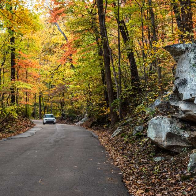 Fall Scenic Drives: Late Season Color
