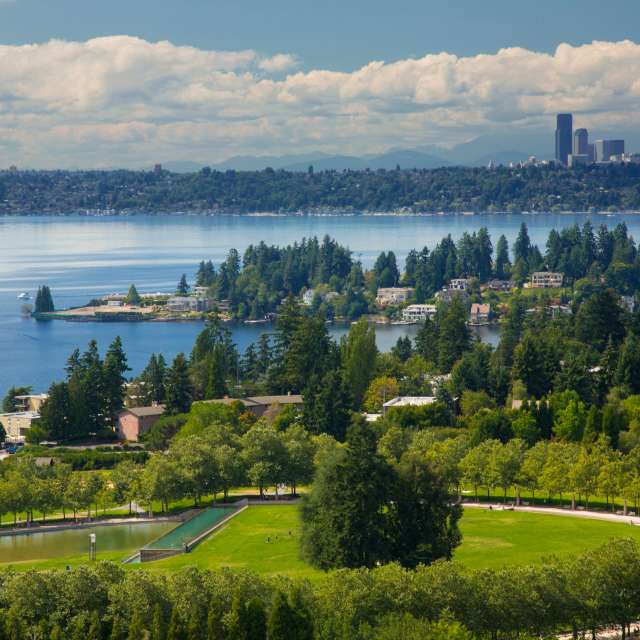 Bellevue + Seattle Skyline