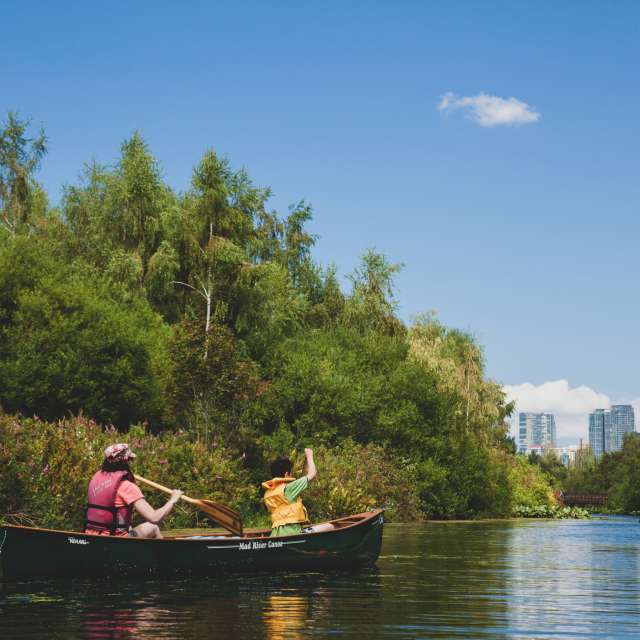 Things to do in bellevue: Mercer slough kayaking tour