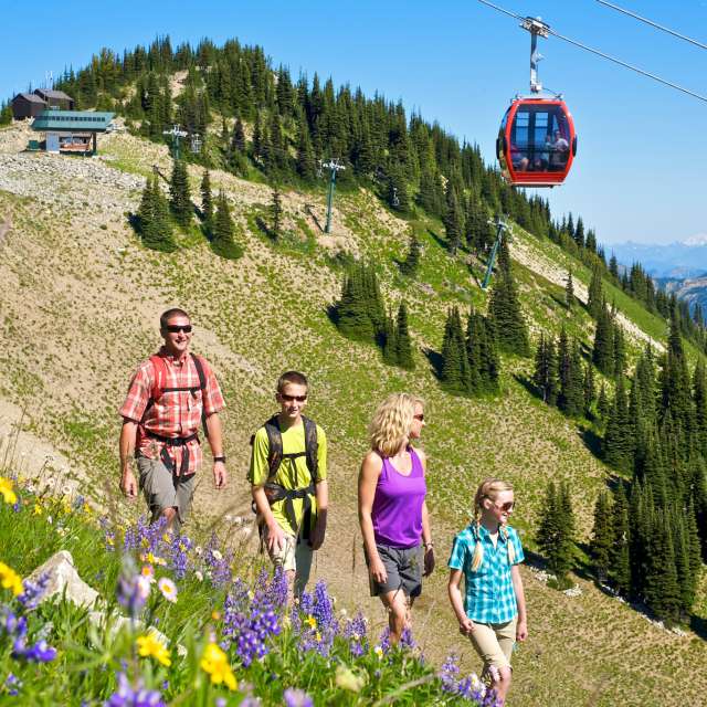 Crystal Mountain Hiking