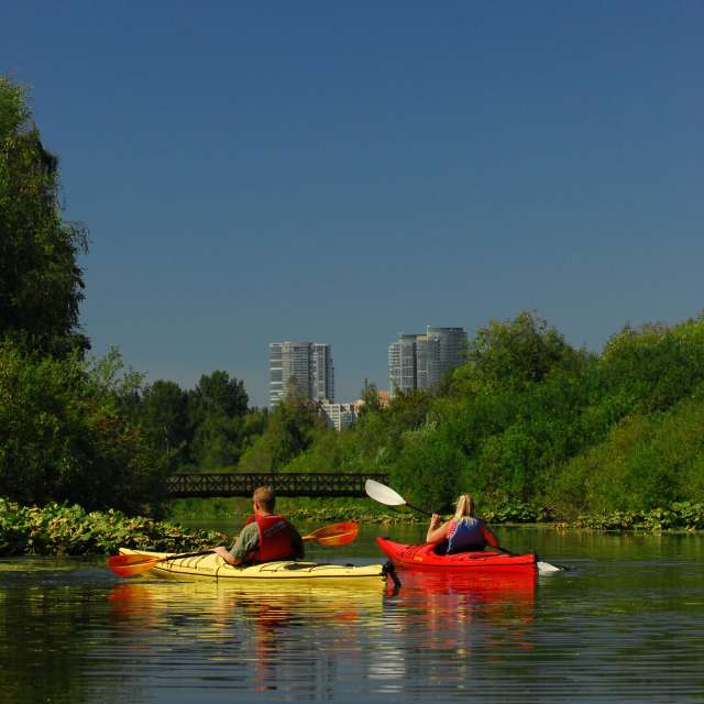 Things to do in Bellevue: Kayaking through Mercer Slough