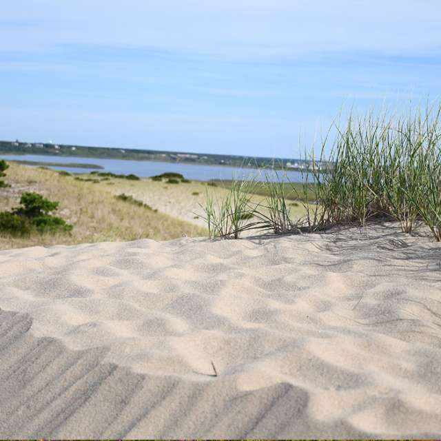 Things to Do in Cape Cod, MA  Cape Cod Activities & Family Fun