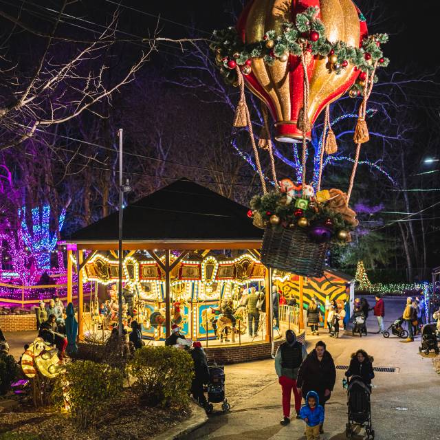 Top Places to View Holiday Lights in Valley Forge and Montgomery County, PA